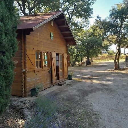 La Cabane En Bois Tourves ภายนอก รูปภาพ